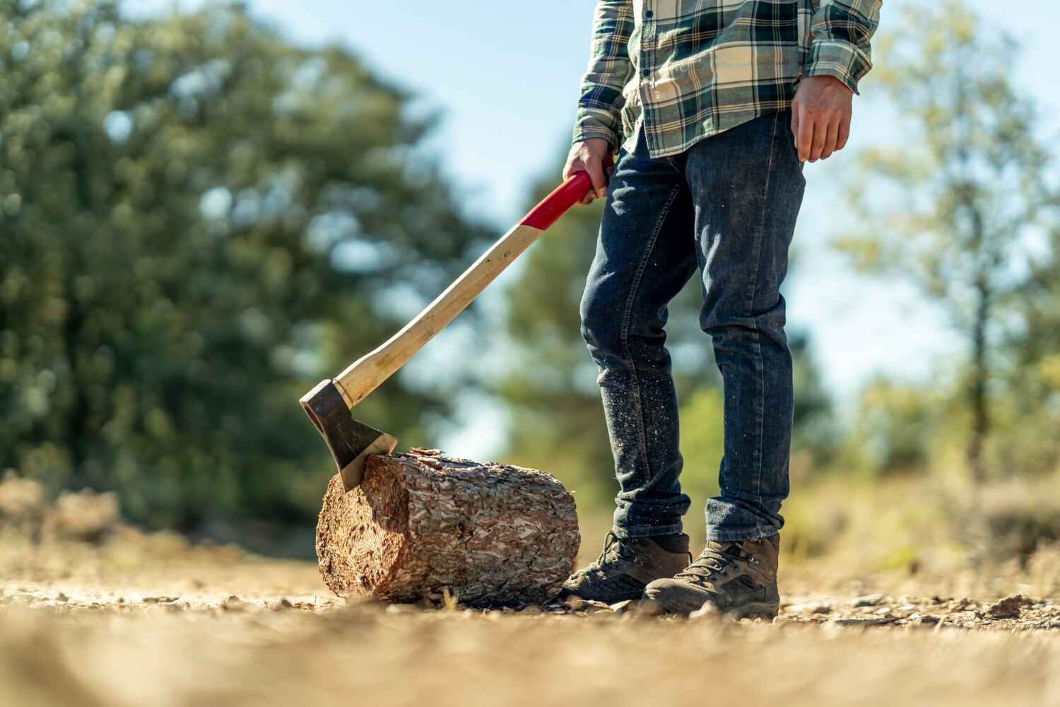 The Steps Involved in Our Tree Care Process in California, MO